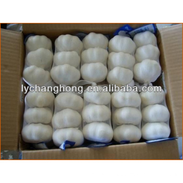 China cheap fresh garlic/fresh white garlic for wholesale